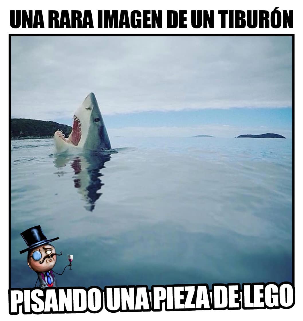 Una rara imagen de un tiburón pisando una pieza de lego.