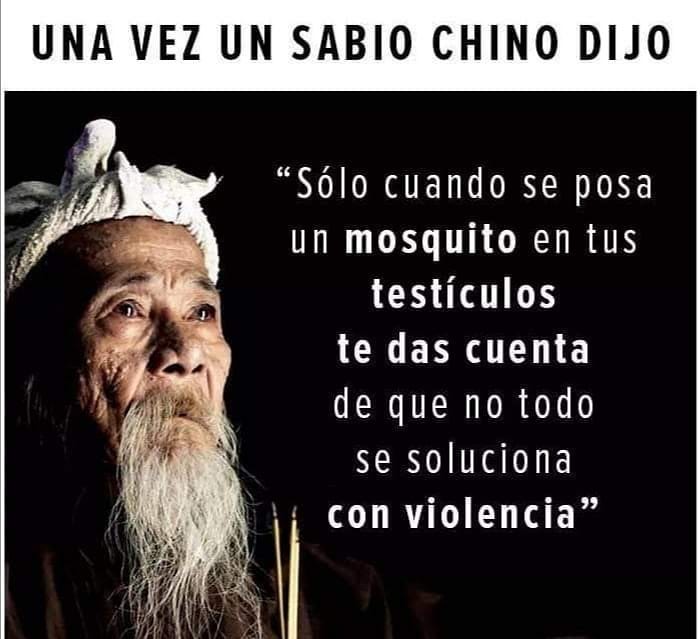 Una vez un sabio chino dijo "Sólo cuando se posa un mosquito en tus testículos te das cuenta de que no todo se soluciona con violencia"