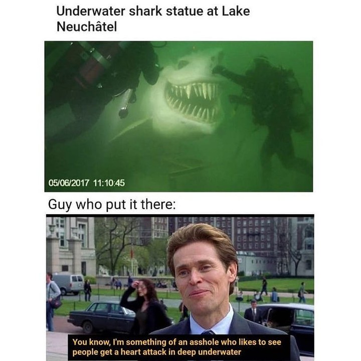 Underwater shark statue at Lake Neuchätel. Guy who put it there: You know, I'm something of an asshole who likes to see people get a heart attack in deep underwater.