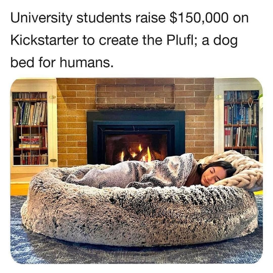 University students raise $150,000 on Kickstarter to create the Plufl; a dog bed for humans.