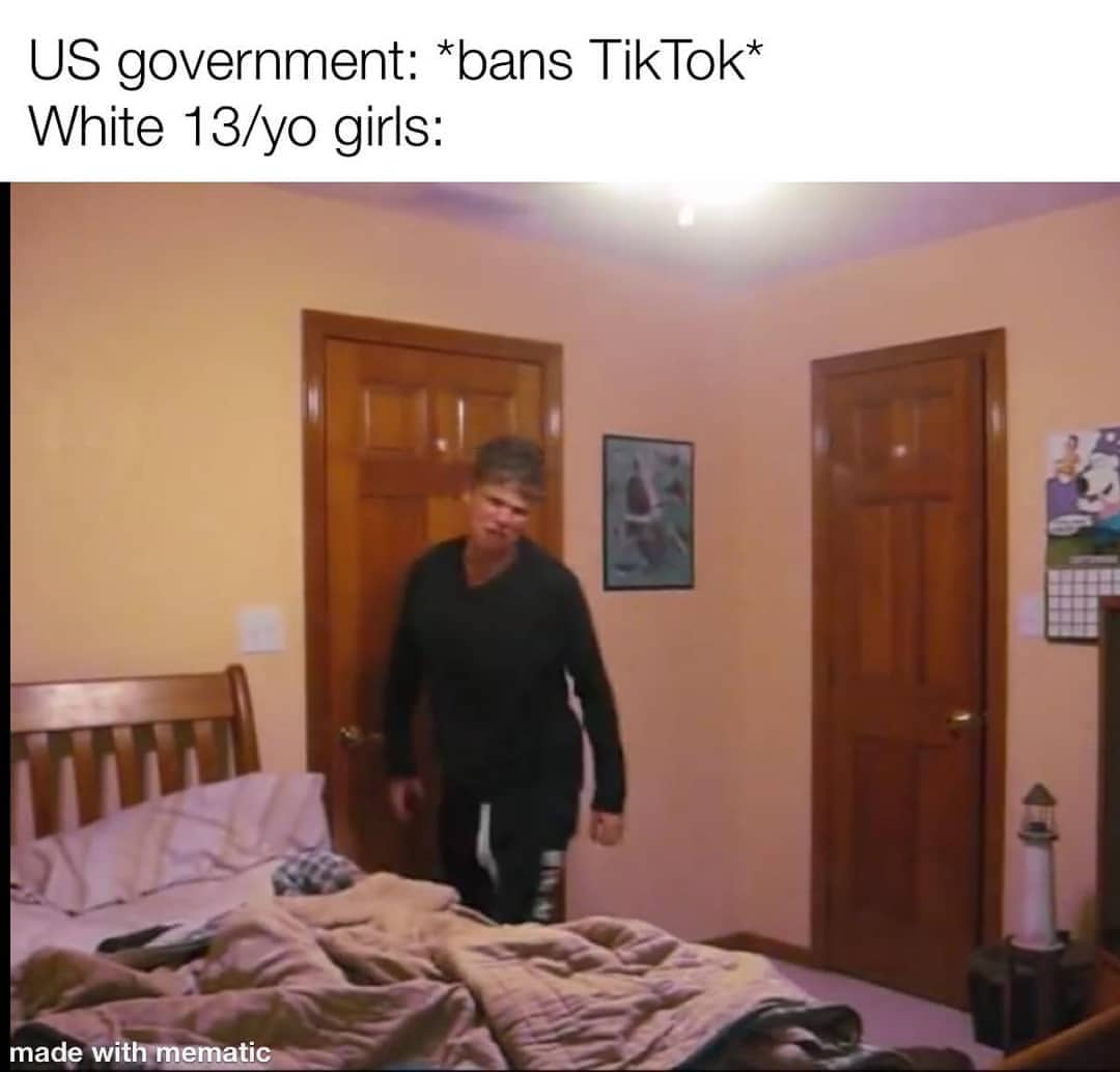 US government: *bans TikTok*  White 13/yo girls: