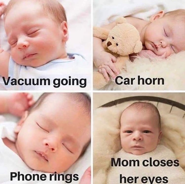 Vacuum Going Car Horn Phone Rings Mom Closes Her Eyes Funny