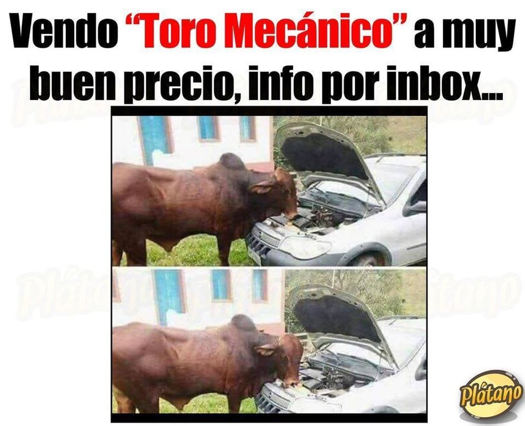 Vendo "Toro Mecánico" a muy buen precio, info por inbox.