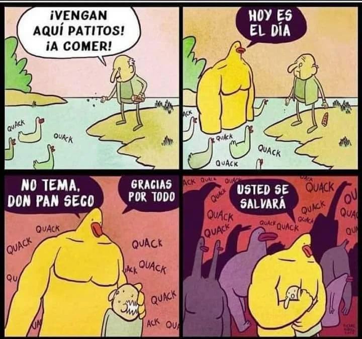 ¡Vengan aquí patitos! ¡A comer!  Hoy es el día.  No tema Don Pan Seco. Gracias por todo. Usted se salvará.