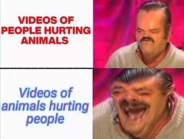 videos of people hurting animals. Videos of animals hurting people.