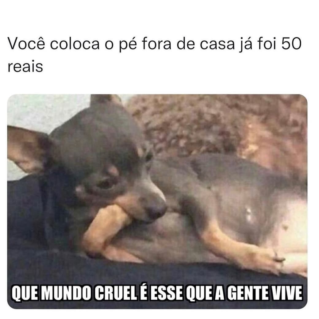 Você Coloca O Pé Fora De Casa Já Foi 50 Reais Que Mundo Cruel é Esse Que A Gente Vive Memes 1159