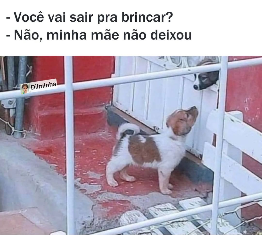 Você Vai Sair Pra Brincar Não Minha Mãe Não Deixou Memes 