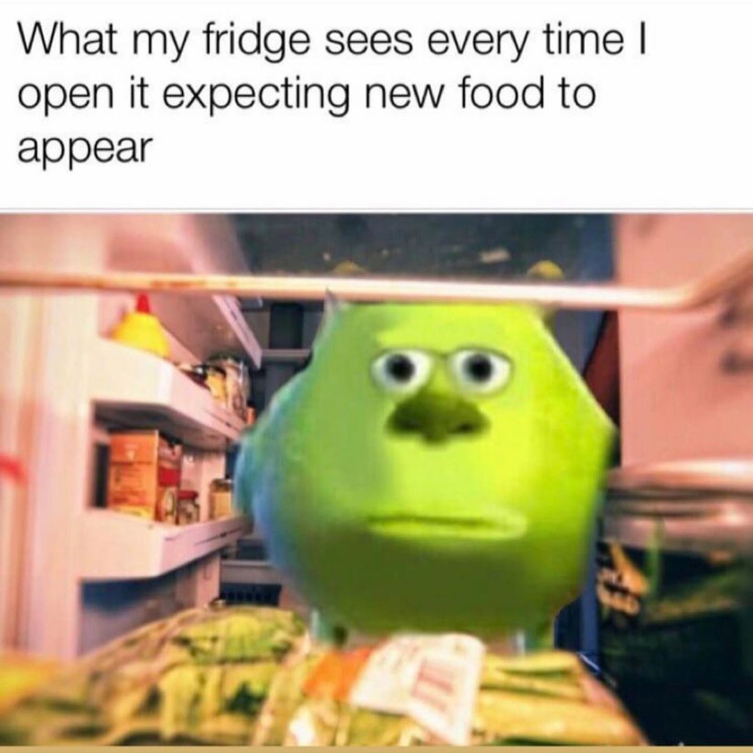 VVhat my fridge every I open it expecting new food to appear.