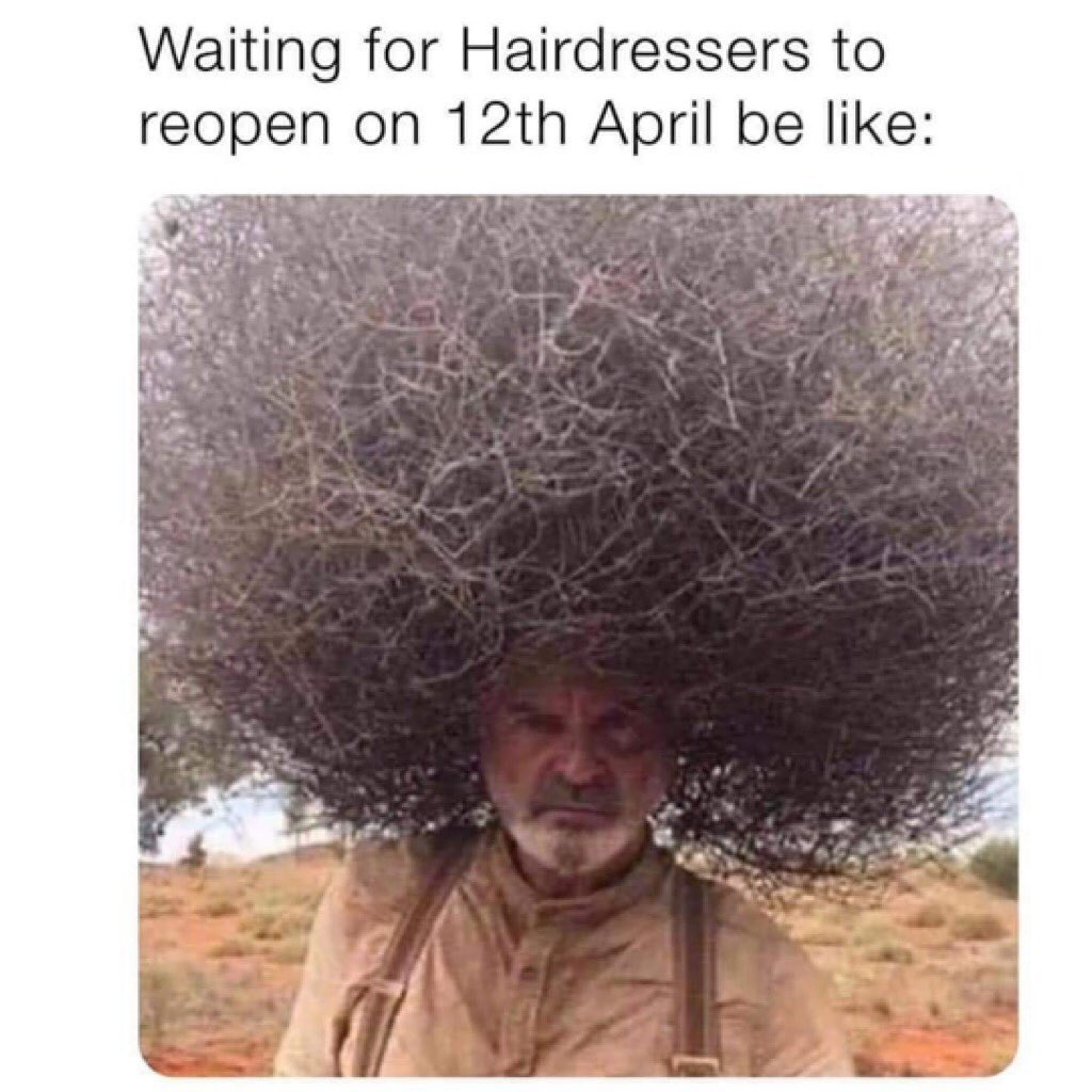 Waiting for hairdressers to reopen on 12th April be like: