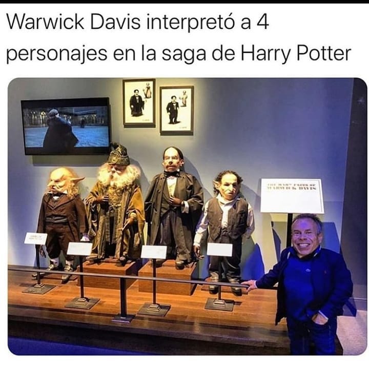 Warwick Davis interpretó a 4 personajes en la saga de Harry Potter.