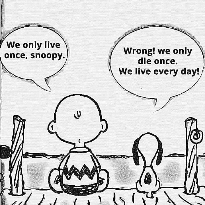 We only live once, snoopy. Wrong! We only die once. We live every day!