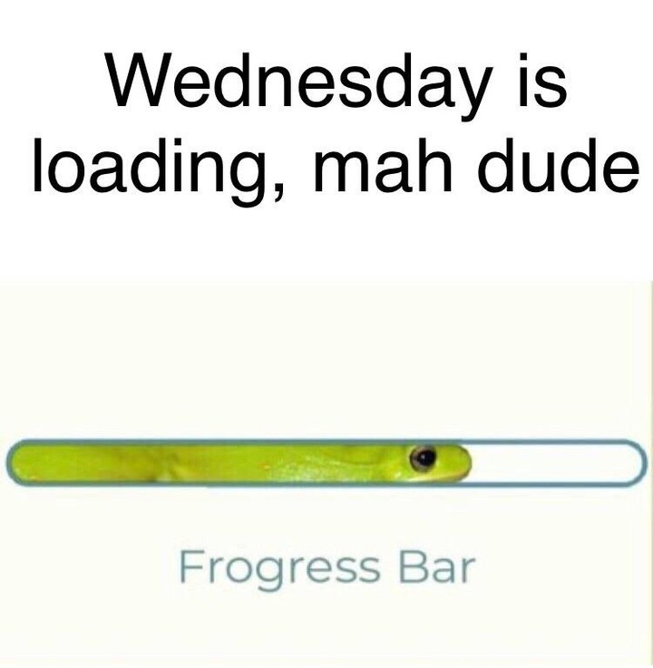 Wednesday is loading, mah dude.  Frogress Bar.