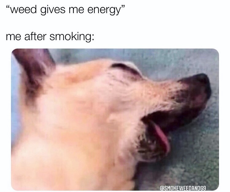 "Weed gives me energy".  Me after smoking: