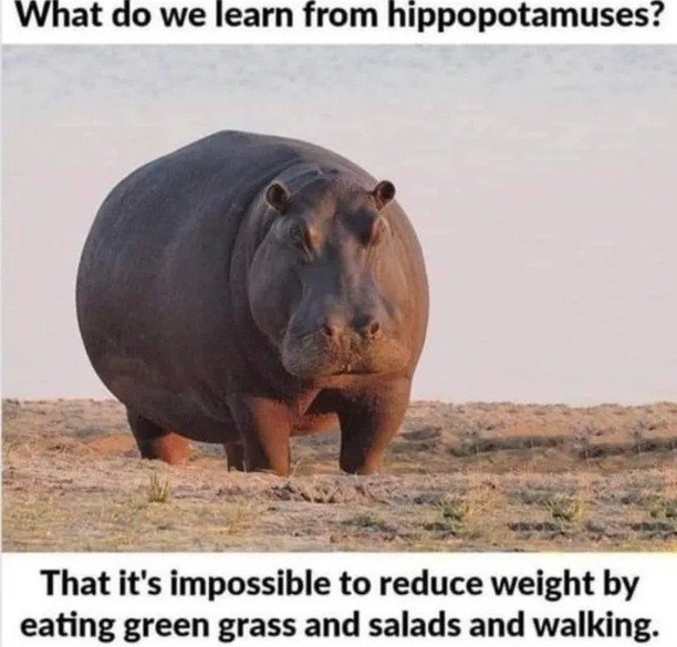 What do we learn from hippopotamuses?  That it's impossible to reduce weight by eating green grass and salads and walking.