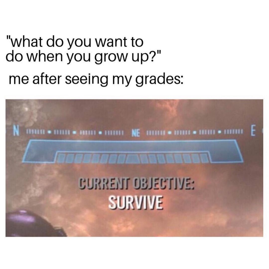 "What do you want to do when you grow up?"  Me after seeing my grades: Current objective: Survive.