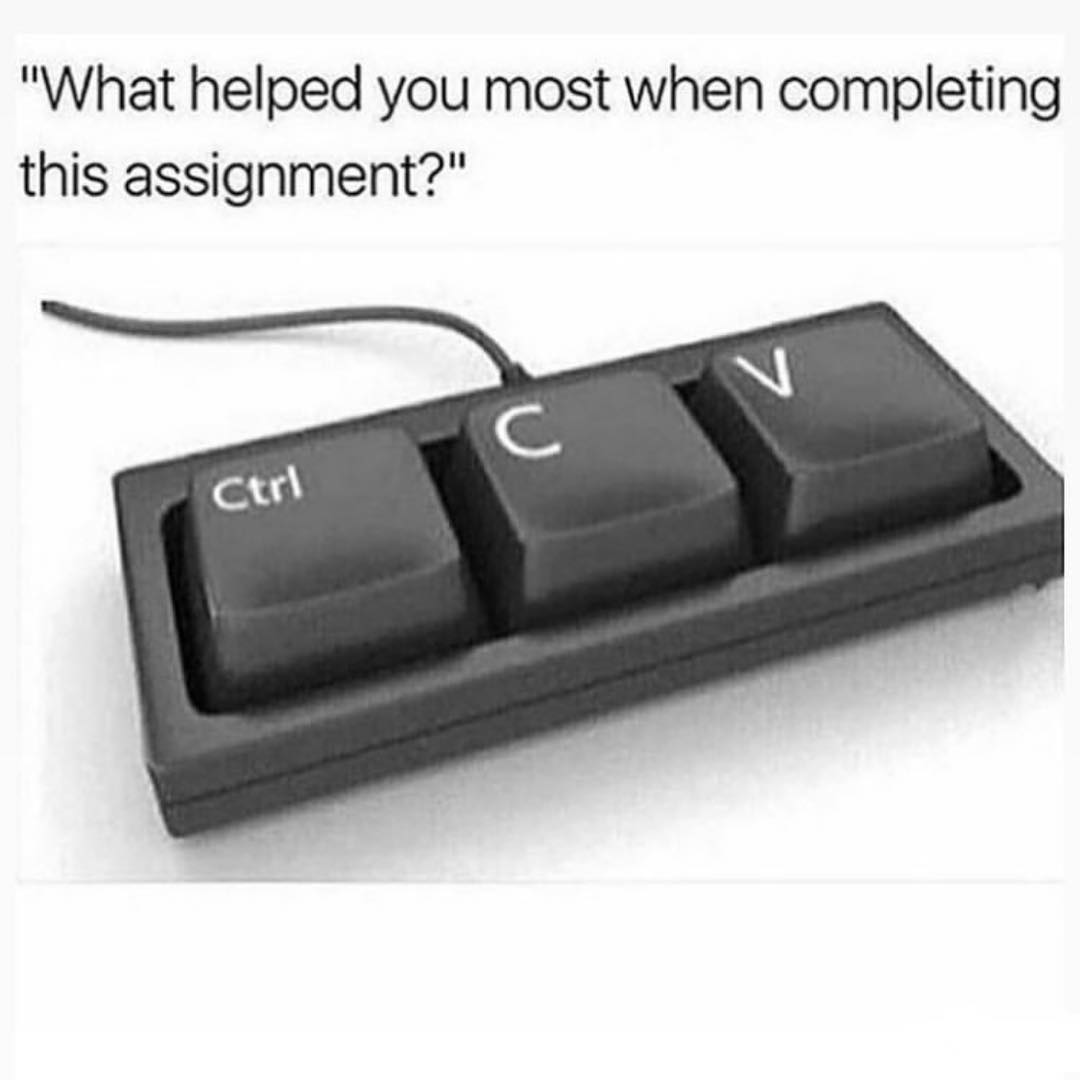 What helped you most when completing this assignment?