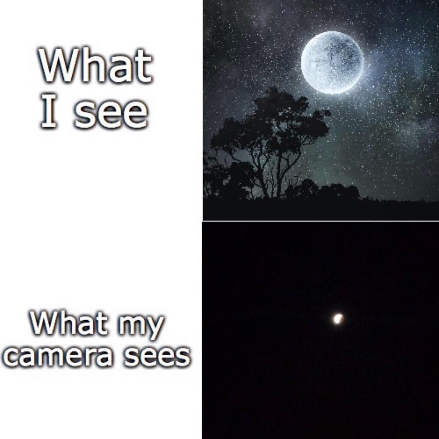 What I see. What my camera sees.