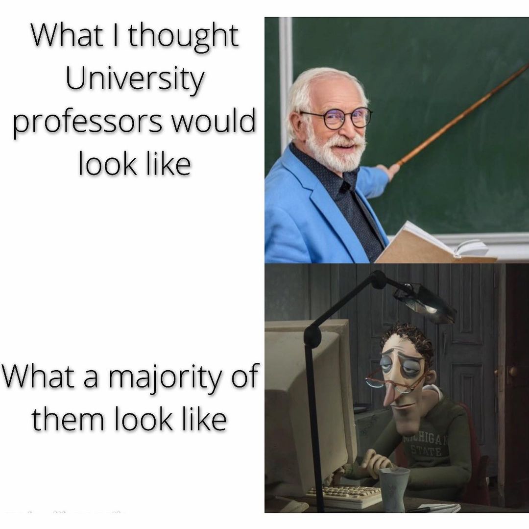 What I thought University professors would look like. What a majority of them look like.