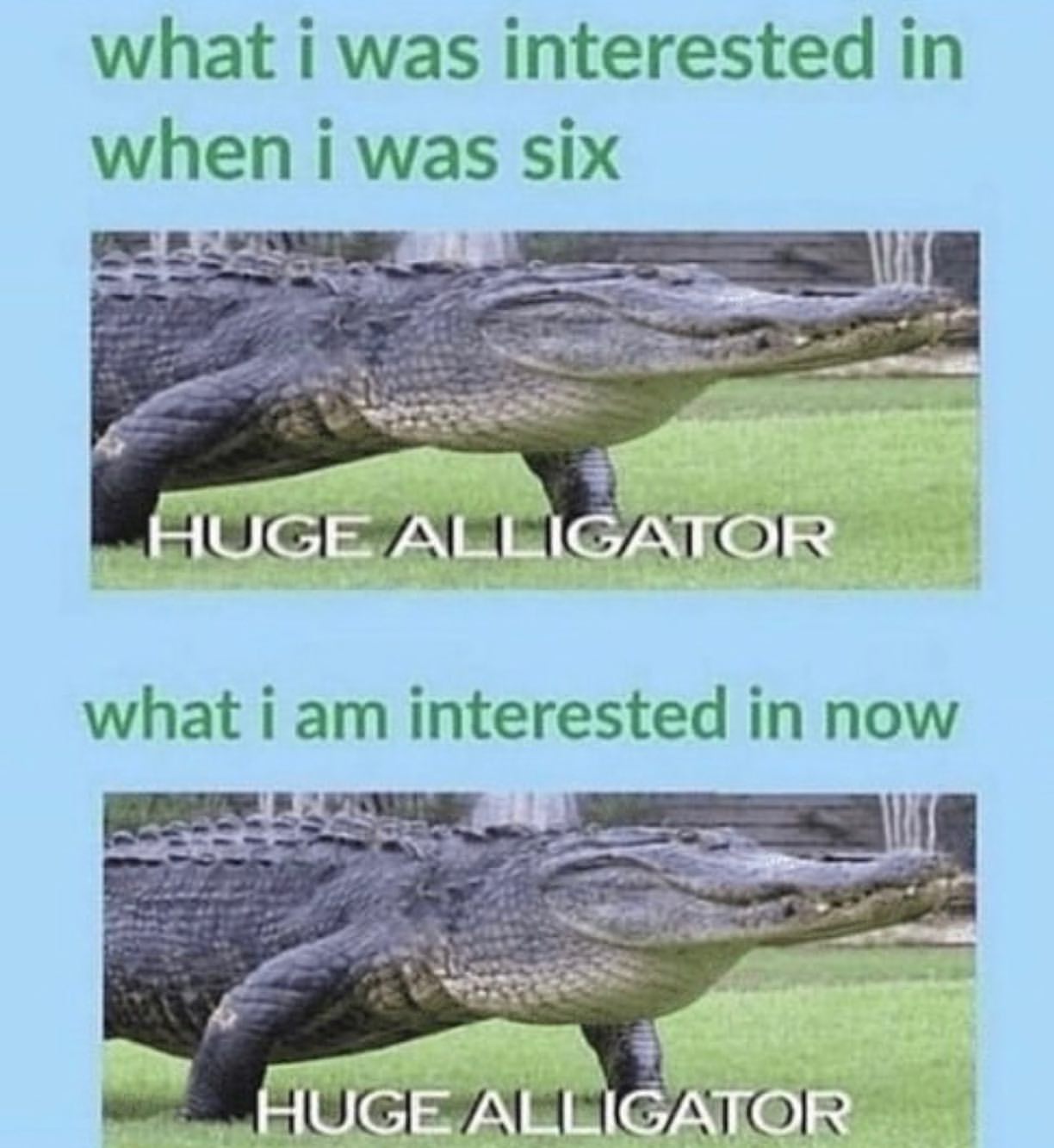 What I was interested in when I was six.  Huge alligator.  What I am interested in now.  Huge alligator.