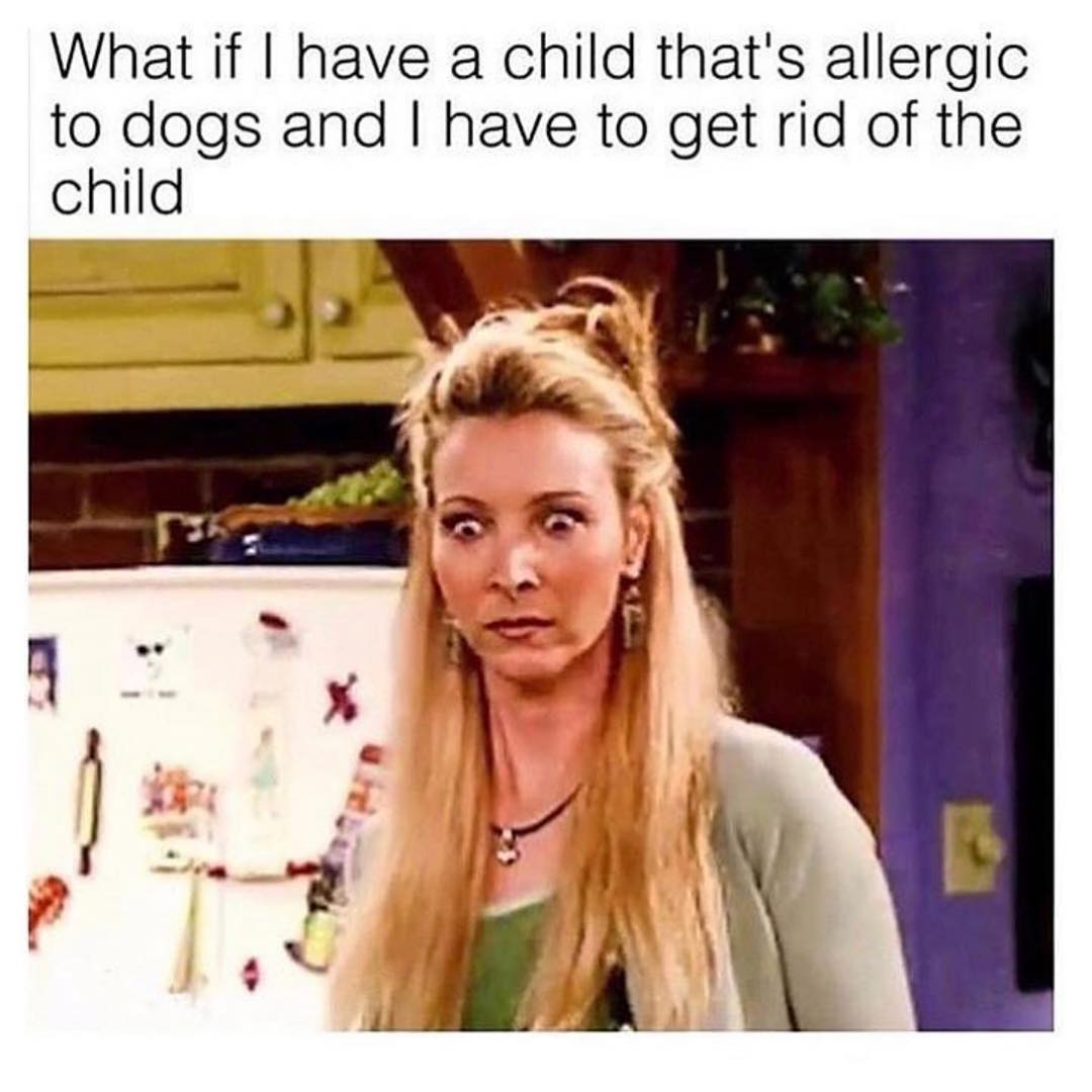 What if I have a child that's allergic to dogs and I have to get rid of the child.