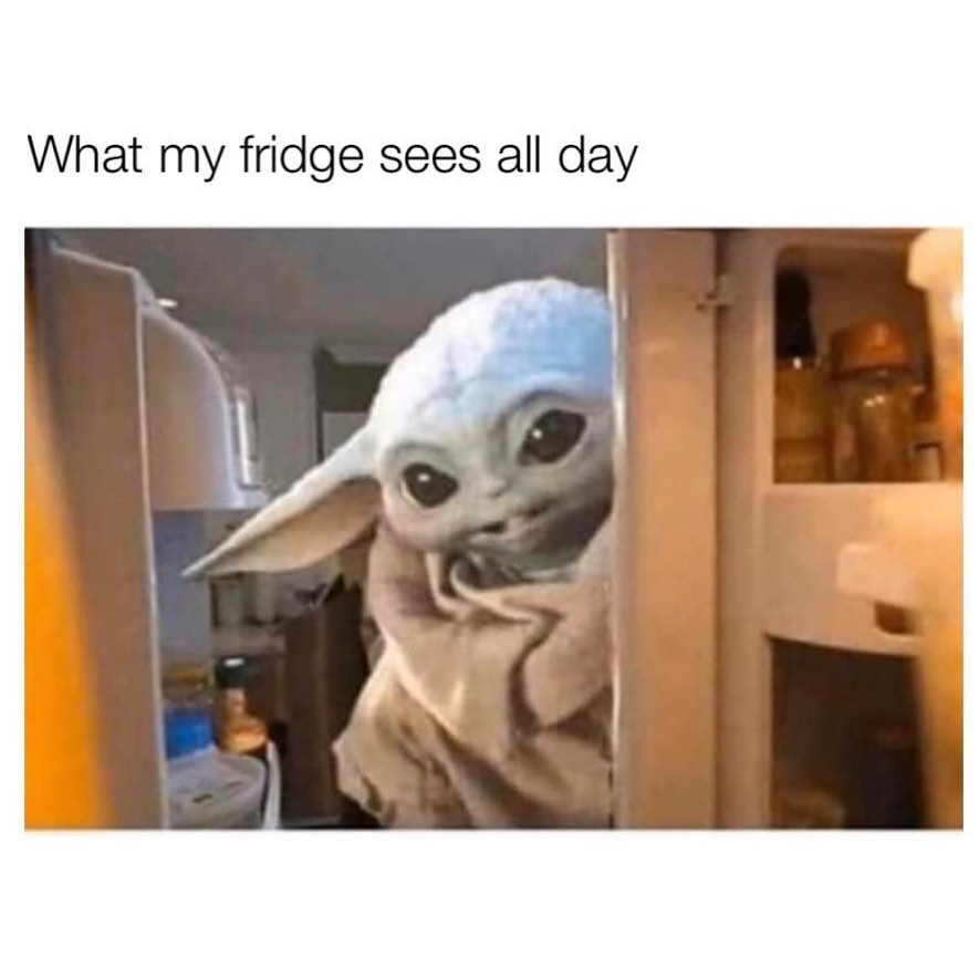 What my fridge sees all day.