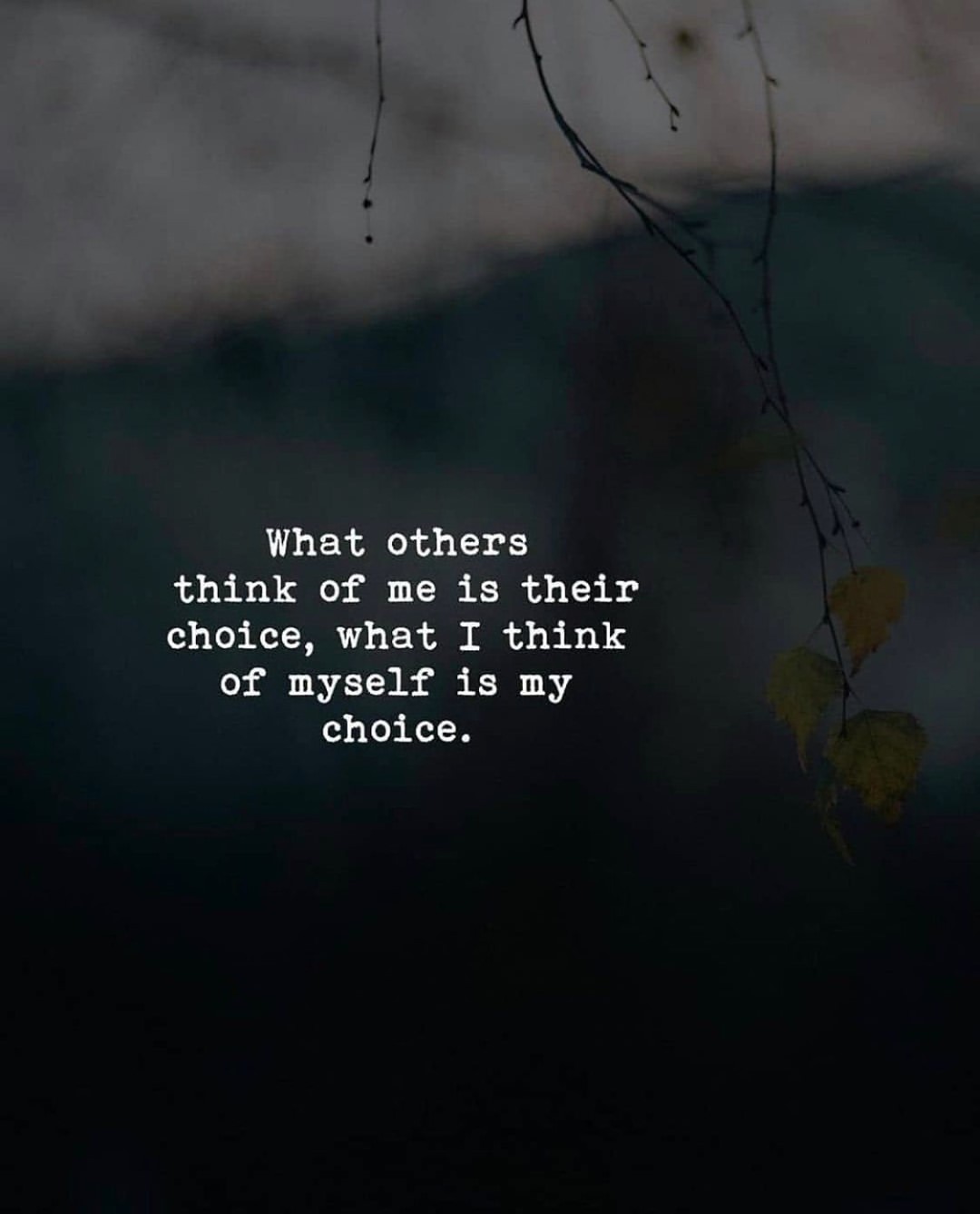 What others think of me is their choice, what I think of myself is my choice.