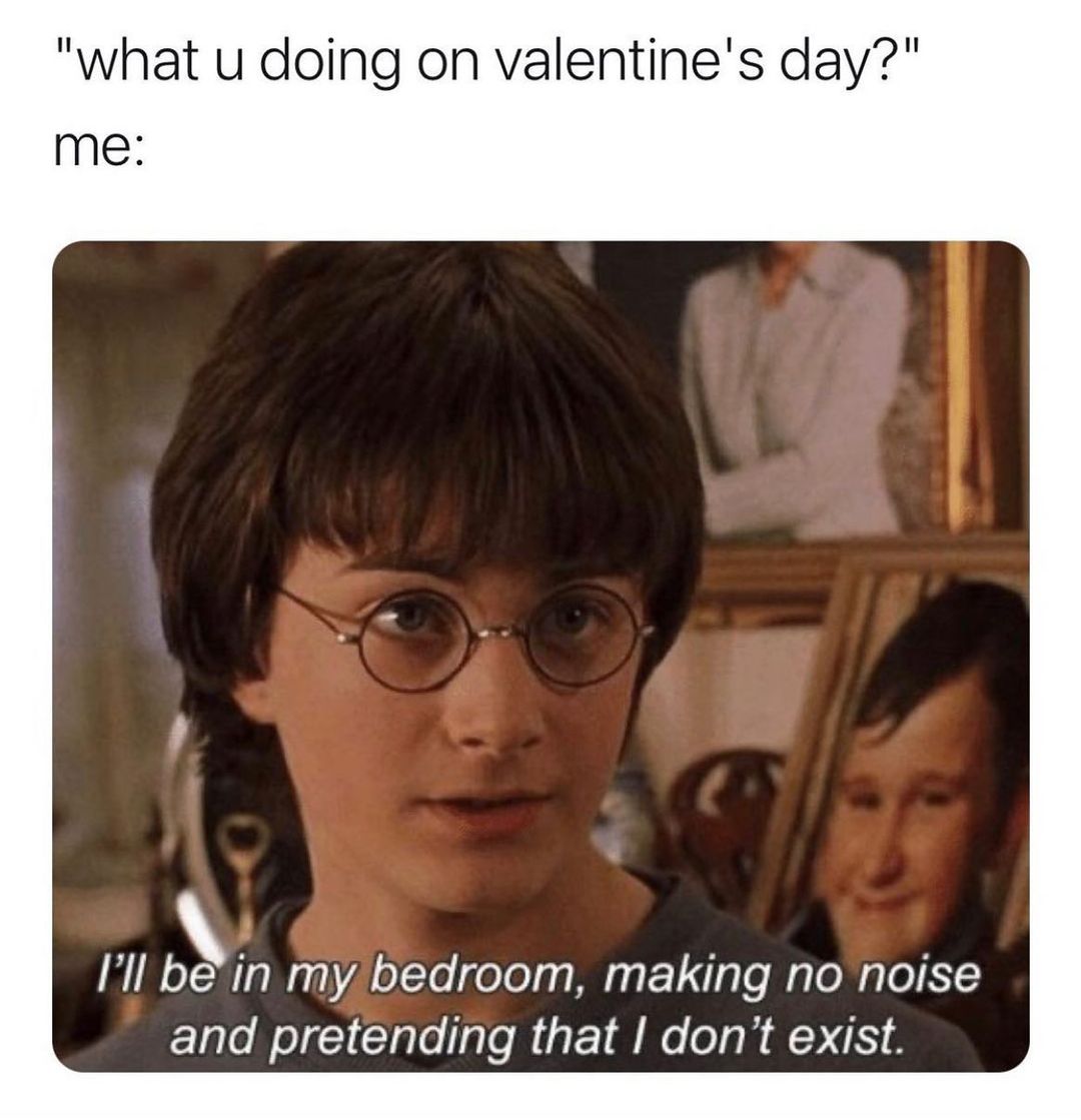 "What u doing on valentine's day?"  Me: I'll be in my bedroom, making no noise and pretending that I don't exist.