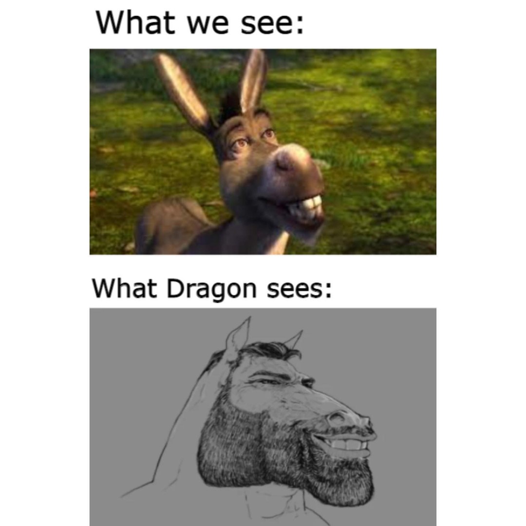 What we see: What Dragon sees: