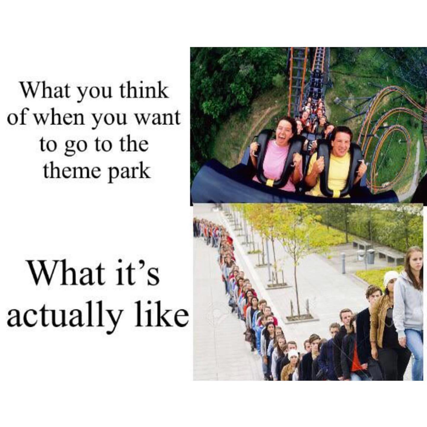 What you think of when you want to go to the theme park. What it's actually like.