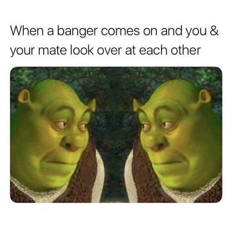 When a banger comes on and you & your mate look over at each other. - Funny