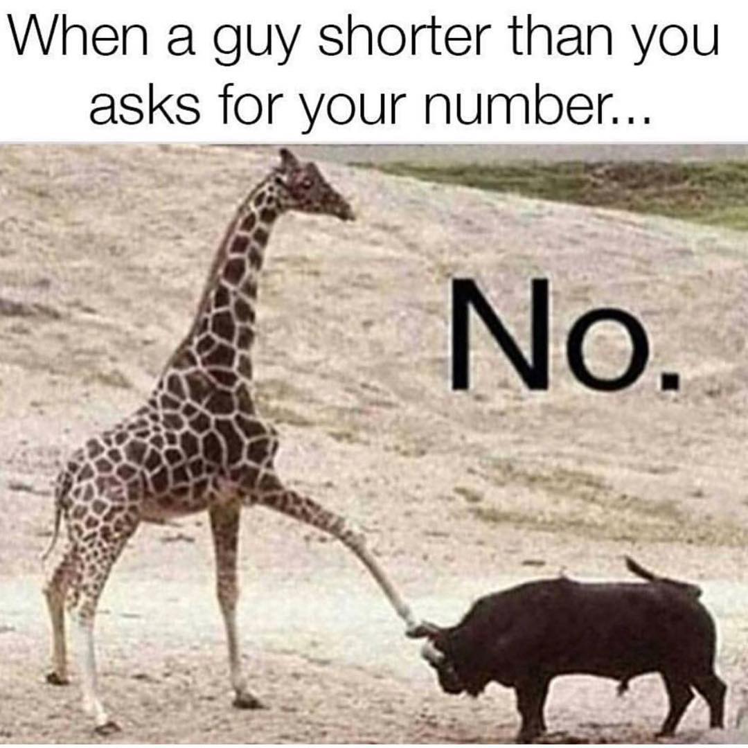 When a guy shorter than you asks for your number... No.