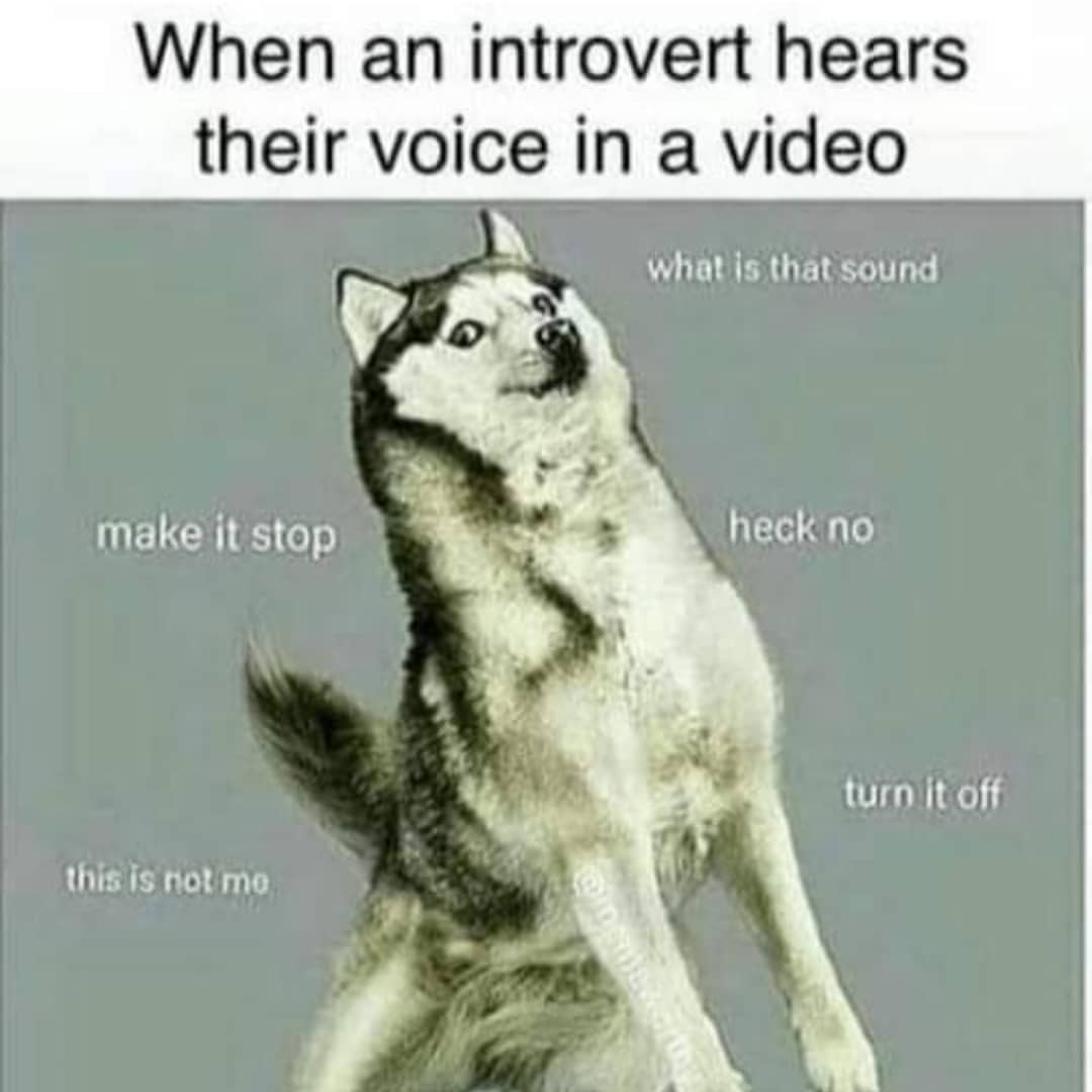 When an introvert hears their voice in a video.  What is that sound. Make it stop. Heck no. Turn it off. This is not me.