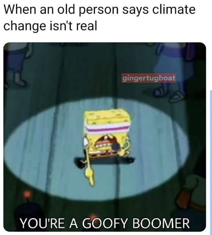 When an old person says climate change isn't real. You're a goofy boomer.