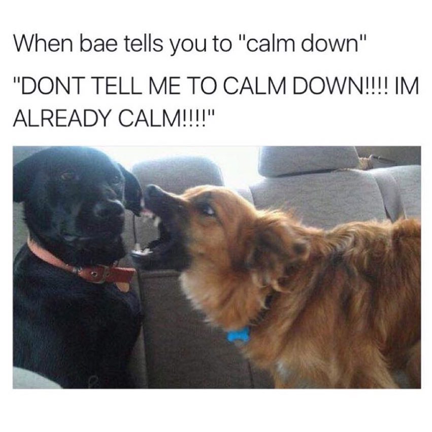 When bae tells you to "calm down" "Don't tell me to calm down!!!! I'm already calm!!!!"