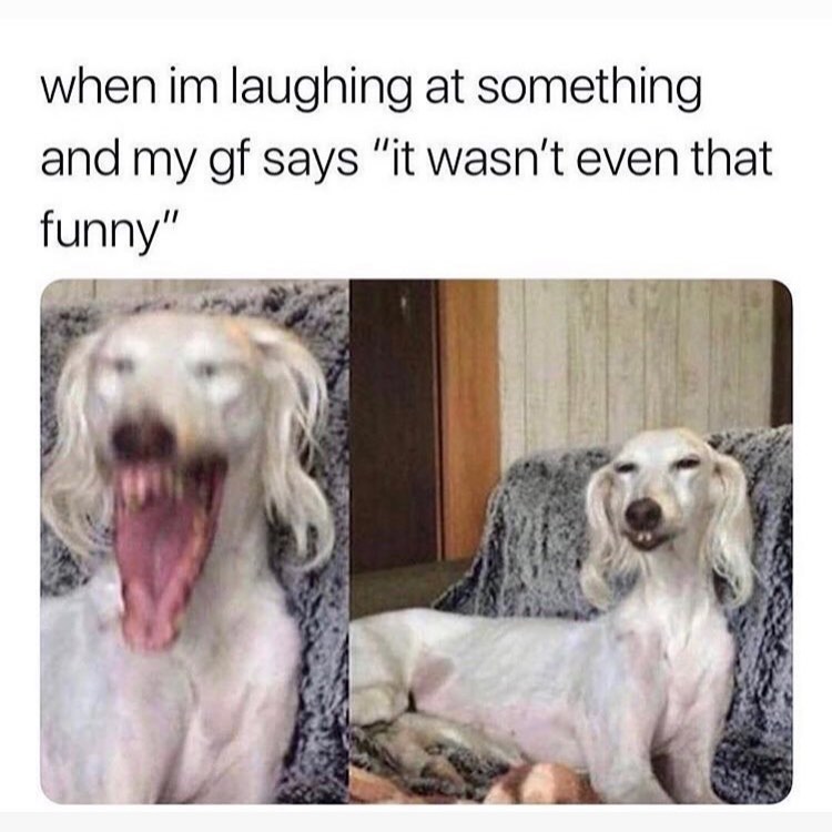 When im laughing at something and my gf says "it wasn't even that funny".