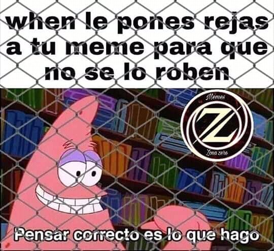 When le pones rejas a tu meme para que no se lo roben.  Pensar correcto es lo que hago.