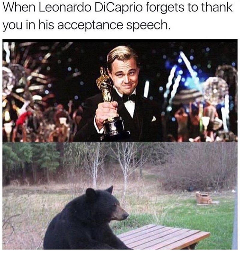 When Leonardo DiCaprio forgets to thank you in his acceptance speech.