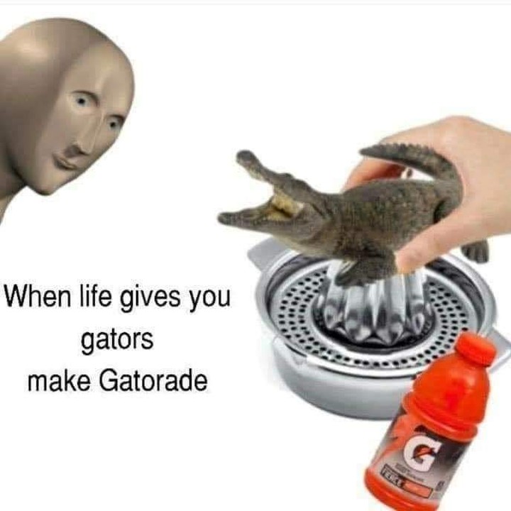 When life gives you gators make Gatorade.
