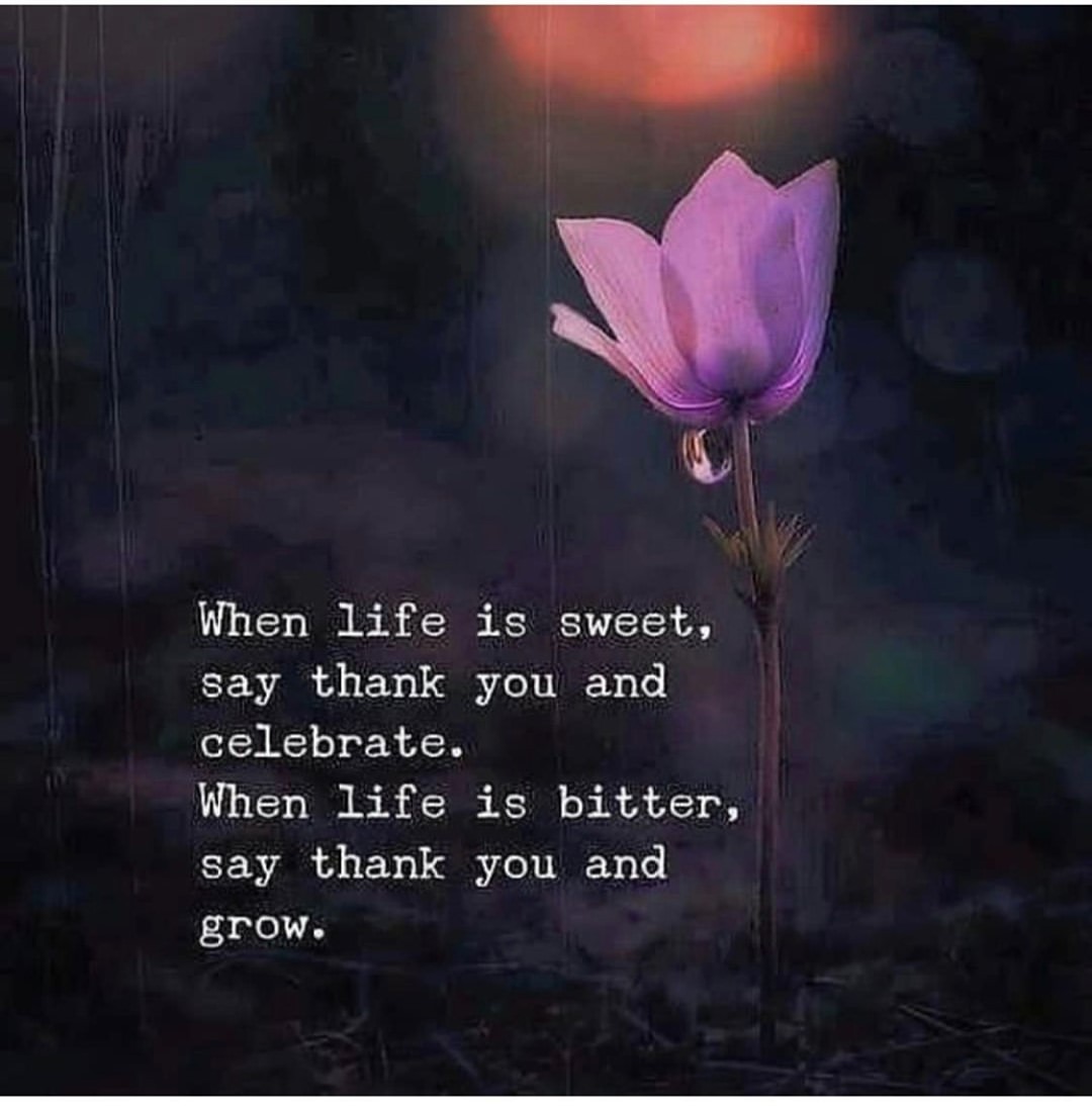When life is sweet say thank you and celebrate. When life is bitter, say thank you and grow.