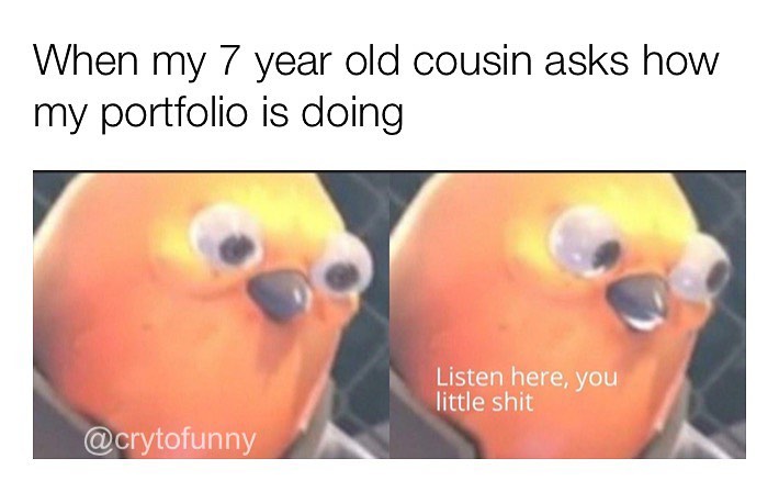 When my 7 year old cousin asks how my portfolio is doing.  Listen here, you little shit.