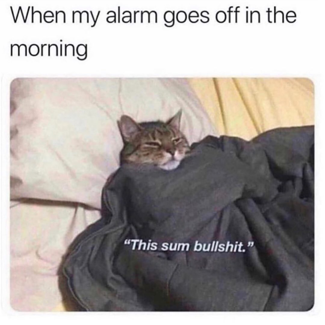 When my alarm goes off in the morning "This sum bullshit".