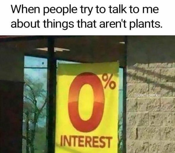 When people try to talk to me about things that aren't plants. 0% interest.