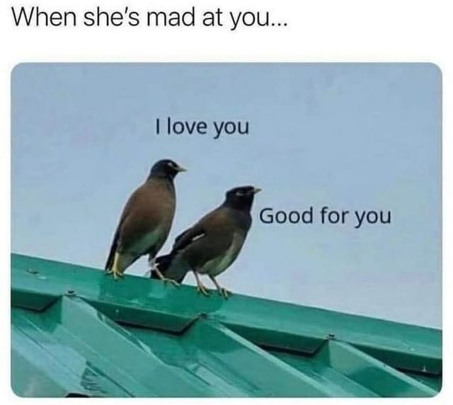 When she's mad at you... I love you. Good for you.