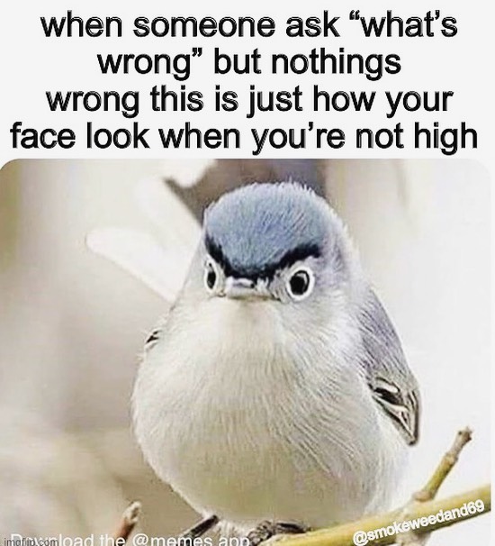 When someone ask "what's wrong" but nothings wrong this is just how your face look when you're not high.