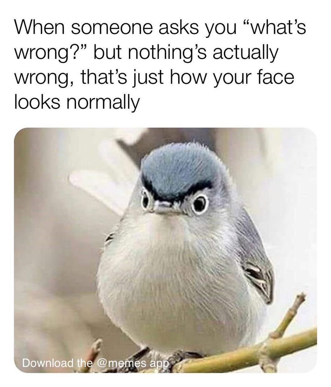 When someone asks you "what's wrong?" but nothing's actually wrong, that's just how your face looks normally.