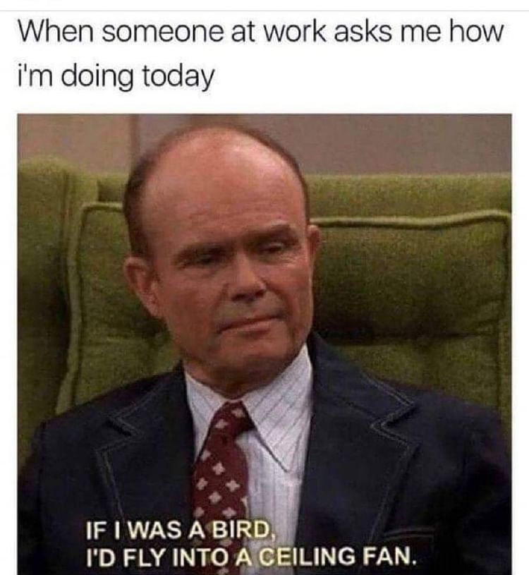 When someone at work asks me how I'm doing today. If I was a bird, I'd fly into a ceiling fan.