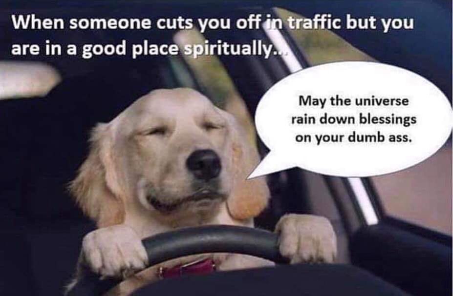 When someone cuts you off traffic but you are in a good place spiritually. May the universe rain down blessings on your dumb ass.