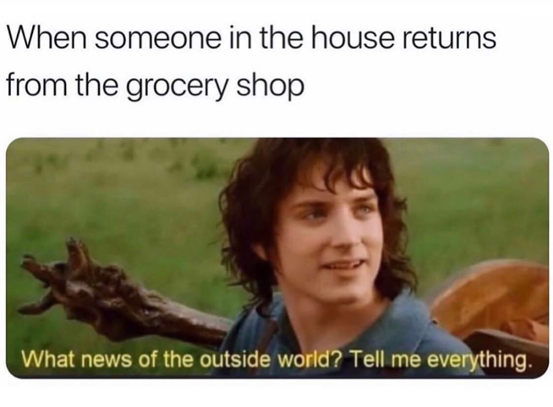 when-someone-in-the-house-returns-from-the-grocery-shop-what-news-of