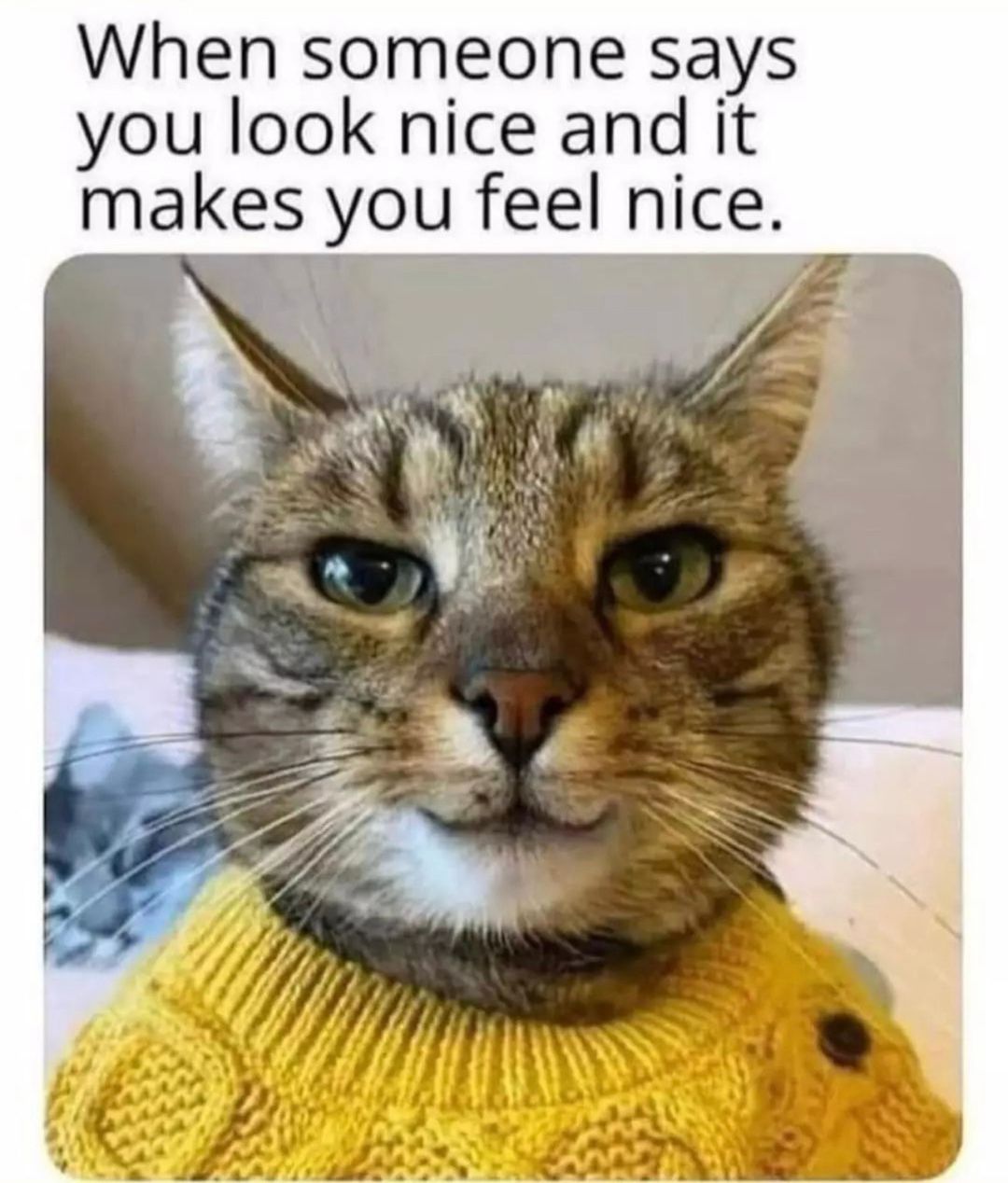 When someone says you look nice and it makes you feel nice.