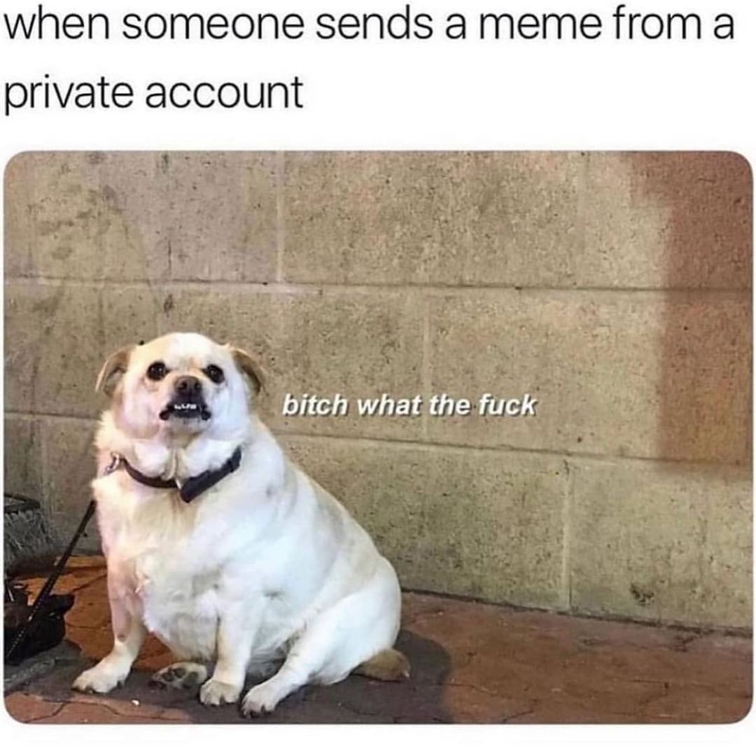 When someone sends a meme from a private account. Bitch what the fuck.